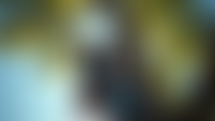 Benefits of Hiring Professional Tree Services for Your Property