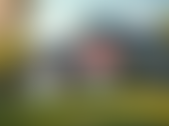 Exploring Home Equity Strategies