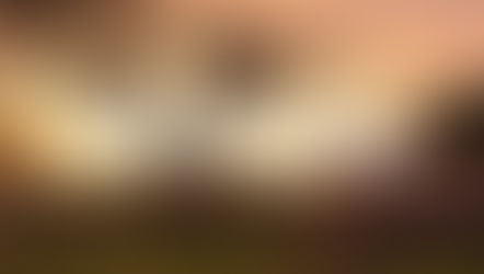 • Pray for Tanzania Territory