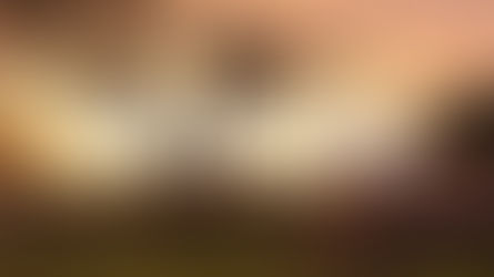 • Pray for Tanzania Territory