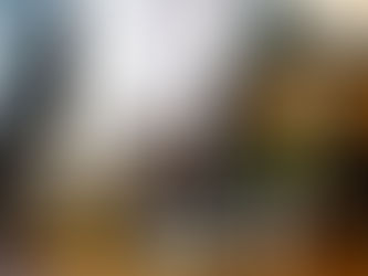 ウォークスルーバンのミニカー