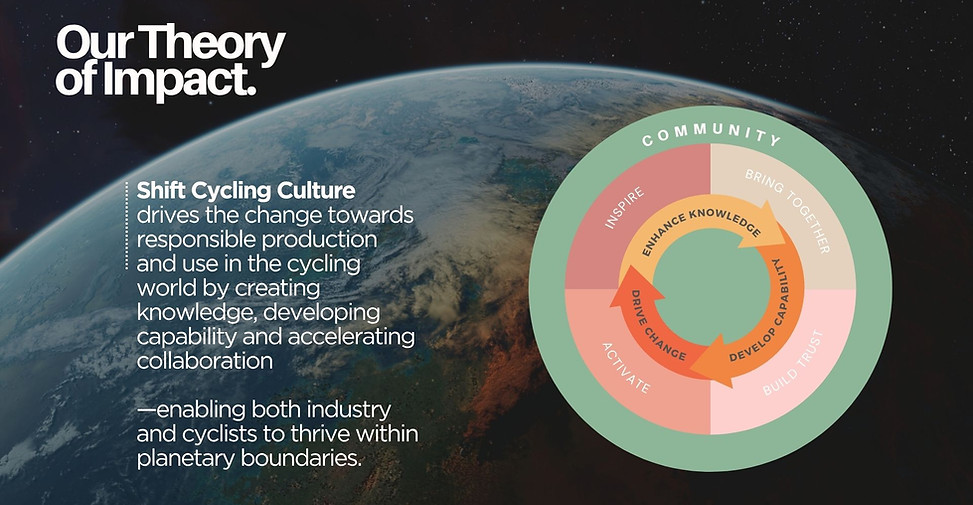 SHIFT Theory of Impact 2025.jpg