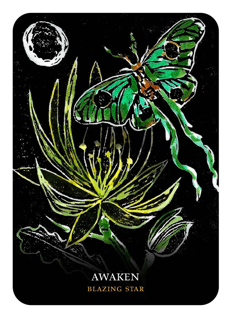 Thumbnail: Flowers of the Night Oracle