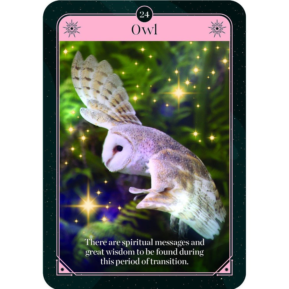 Thumbnail: Fortune Oracle Cards