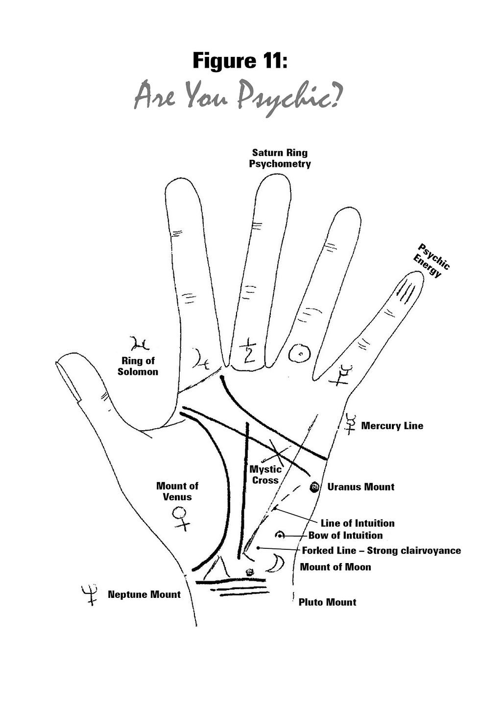 Thumbnail: Time On Your Hands: A Study in Palmistry