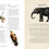 Thumbnail: Practical Guide To Magic in Nature