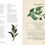 Thumbnail: Practical Guide To Magic in Nature