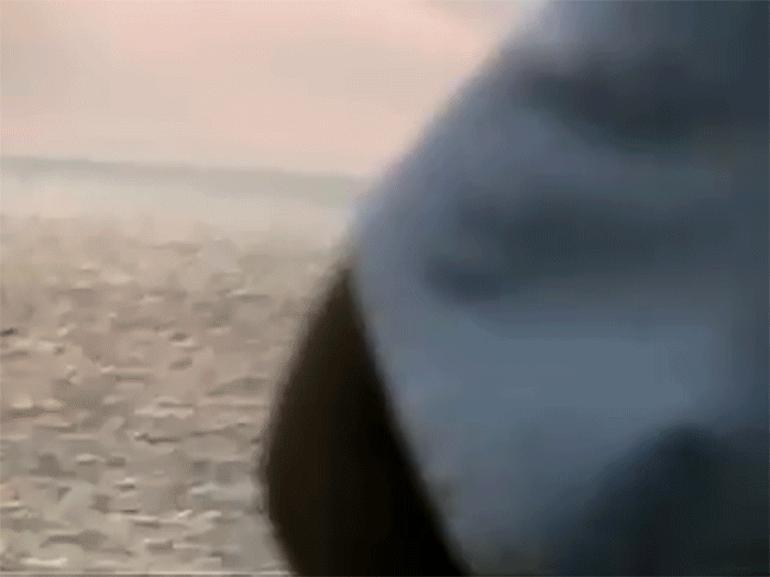 front-of-bird-shirt-1