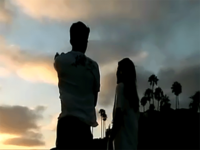 back-of-bird-shirt-2