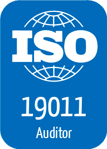 AUDITOR INTERNO 19011