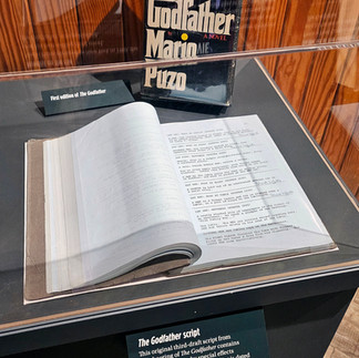 A book in a museum. Mario Puzo The Godfather. Grumpy Nomad Cat