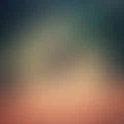 Myanmar, 2015, Grumpy Nomad Cat 