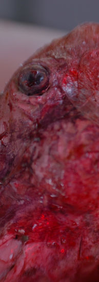 Slaughter (2024) Sheep Prop