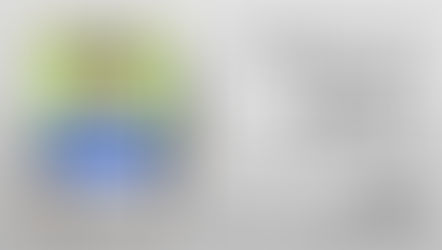 Linha de Scout #014 - Jude Bellingham