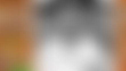 Linha de Lembrancas #014 - Ferenc Puskás