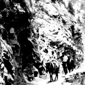 Zonal Chair Announcements-week of April 5, 2023