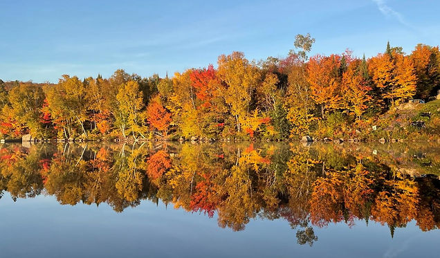 IMG_0442 (2) (Optimized Copy)(1).jpg