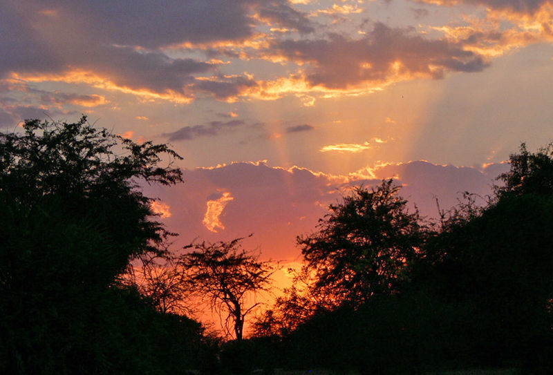 Goodnight from Selous...