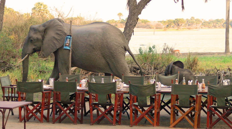Hey Mum - what's for dinner?