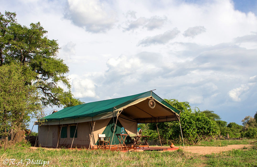 Mdonya Old River camp tent, Ruaha National Park, Tanzania
