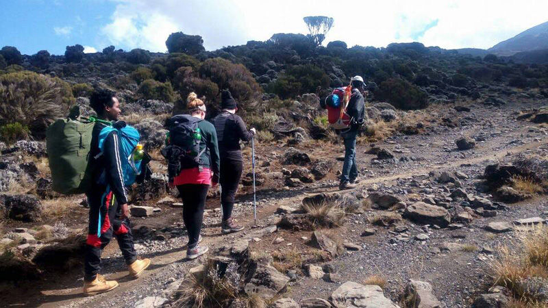 Climbing Kilimanjaro - photo by Zuri Safaris and Tours