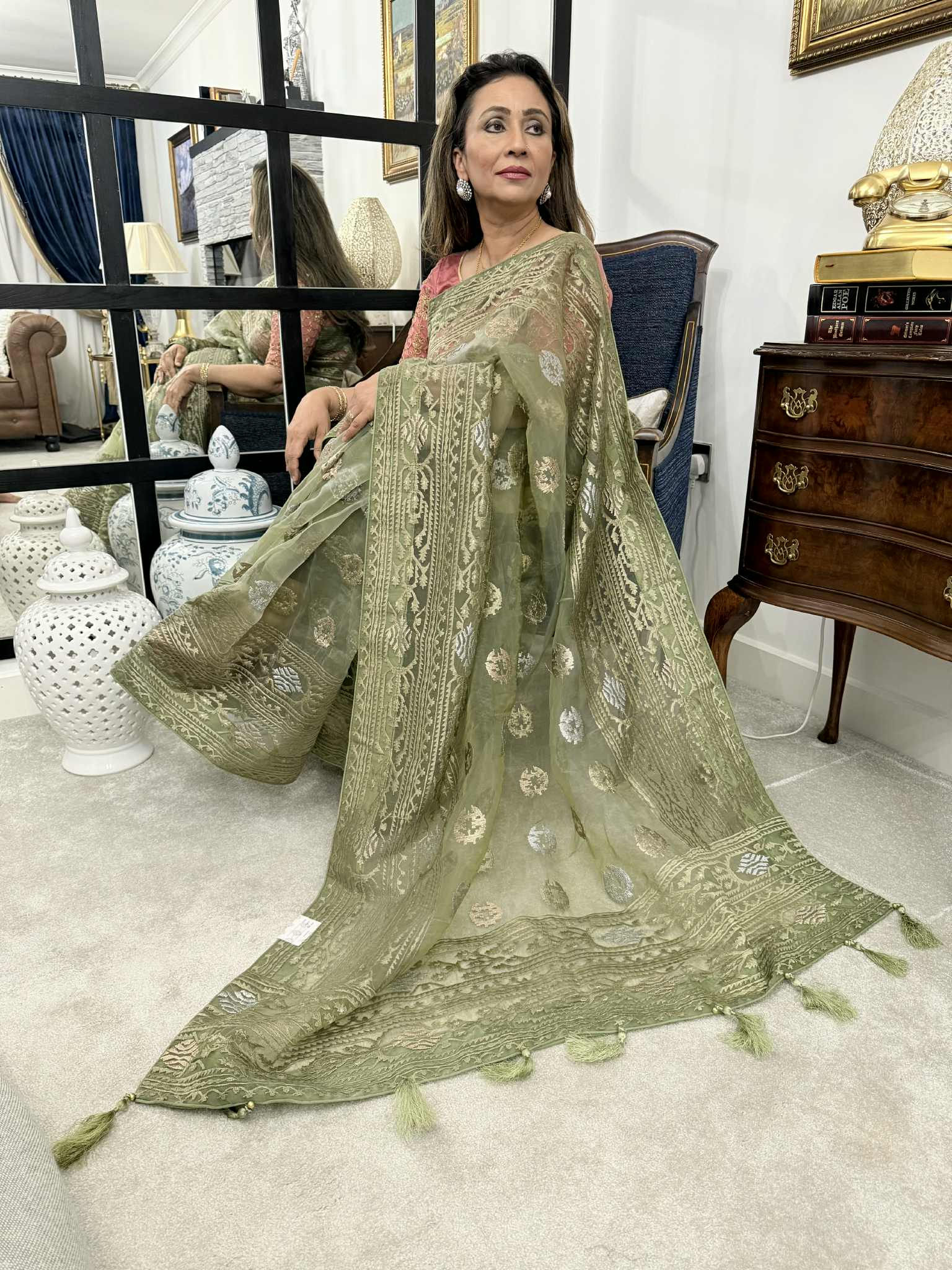 Organza saree with all over embroidery