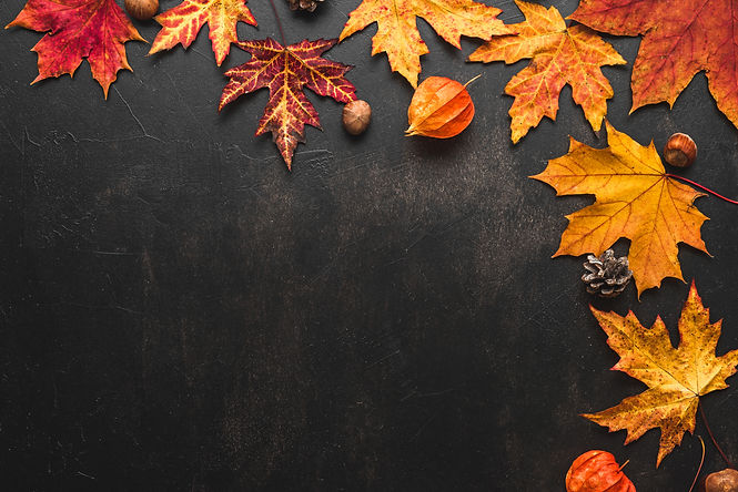 AdobeStock_370149914.jpeg