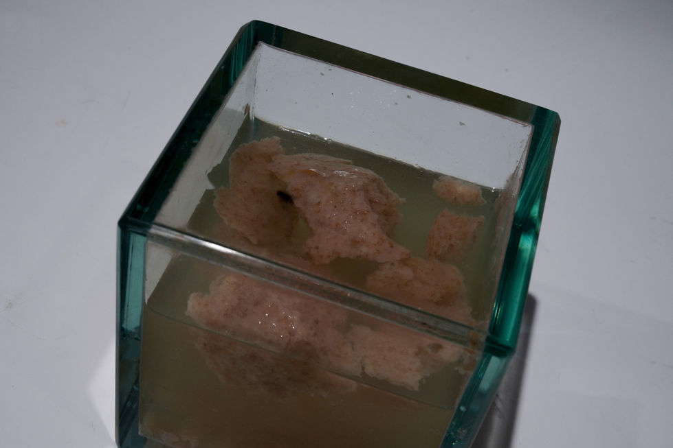 Mold Cube