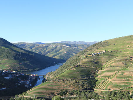 Dois Lagares Guest House and our Farm