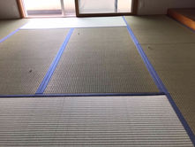 新畳 / 熊本産畳表「涼風」