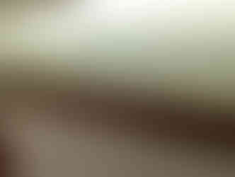 ダイケン和紙畳表　銀白色