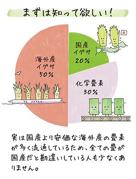 畳の違いと選び方
