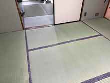 表替え / 熊本産畳表「ひのみどり」(経糸:綿々糸)