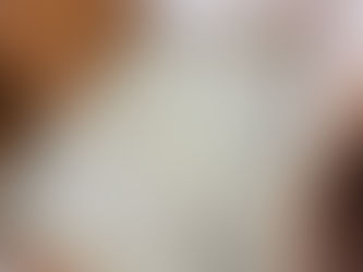 表替え / 熊本産畳表「夕凪」(経糸:麻綿糸)