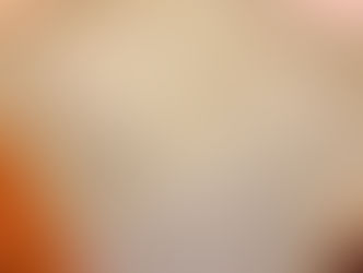 表替え / 熊本産畳表「ひのはるか」(経糸:綿々、三番草)