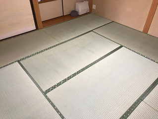 表替え 熊本県産畳表