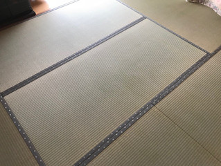 新畳 熊本県産畳表