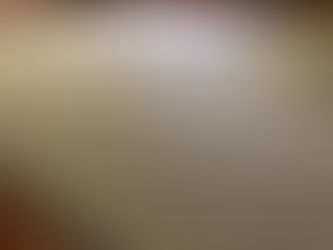 表替え / 熊本産畳表「涼風」綿々畳表