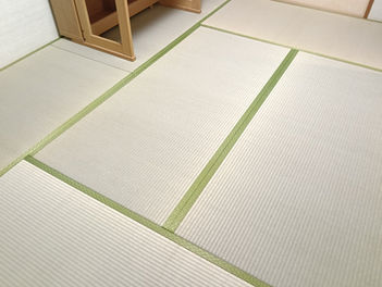 新調:熊本産畳表 / 並