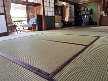 新畳：八代産畳表