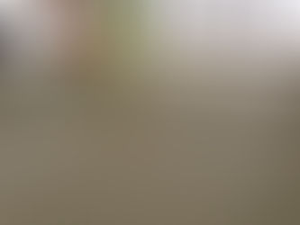 新畳：八代産畳表