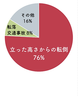 大腿骨頸部骨折の主な原因