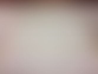 新畳 熊本県産畳表