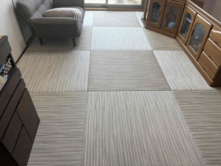 表替え / 縁なし畳 ダイケン穂波03