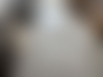 表替え / 縁なし畳 ダイケン穂波03