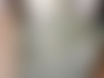 表替え / 熊本産畳表「涼風」(経糸:綿々糸)