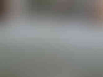 熊本産畳表 / 中