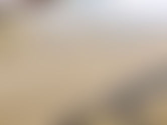 新畳 / 熊本産畳表「夕凪」(経糸 麻綿)