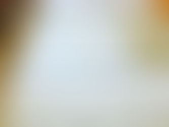 新畳 / 熊本産畳表「涼風」(経糸:綿々、本間一番草)