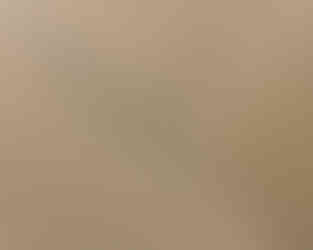 ダイケン和紙畳表　若草色